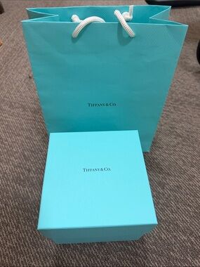 Robin's Egg Blue Gift Box and Bag